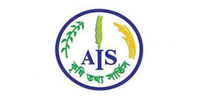 শক্তিশালীকরণ প্রকল্পেই দুর্বলতা