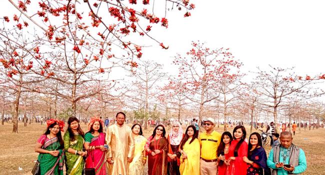 হাজারো দর্শনার্থীর ভিড়ে মুখরিত সেই শিমুল বাগান