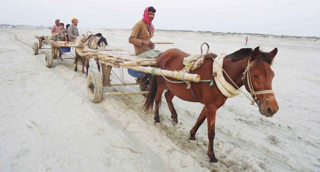 ঘোড়ার গাড়িতেই ভরসা যমুনার চরবাসীর