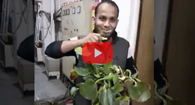 কচুরিপানা চিবিয়ে খাচ্ছে যুবক, দেখুন সেই ভাইরাল ভিডিও