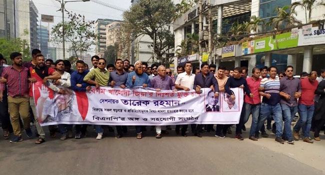 চারদিকে শুধু নৈরাজ্যের বিভীষিকা : রিজভী