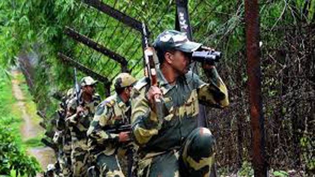 ফুলবাড়ী সীমান্তে বিএসএফের হাতে বাংলাদেশি আটক