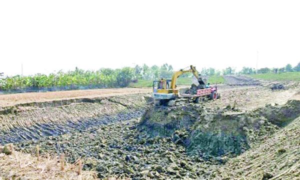 ফসলি জমির মাটি ইটভাটায় কৃষি উৎপাদন বিপর্যয়ের মুখে