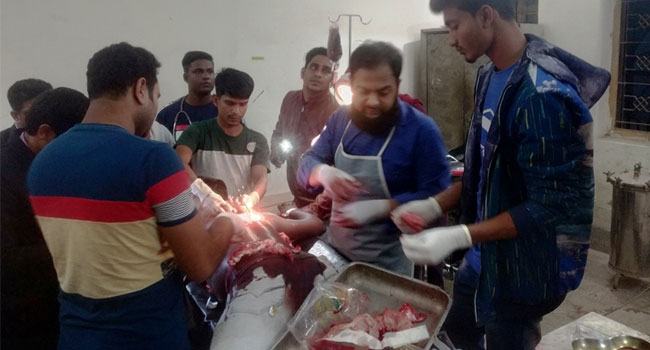 চুয়াডাঙ্গায় ছাত্রলীগ নেতা জীমকে কুপিয়ে জখম