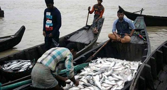 ইলিশ ধরায় ২ মাসের নিষেধাজ্ঞা শুরু