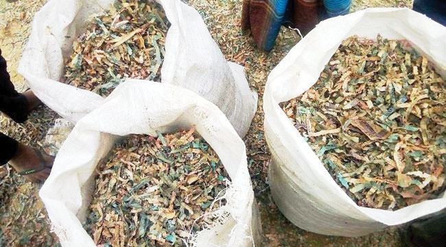 বস্তা বস্তা টাকা