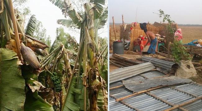 গোবিন্দগঞ্জে কালবৈশাখীর আঘাতে ঘরবাড়িসহ ফসলের ব্যাপক ক্ষতি