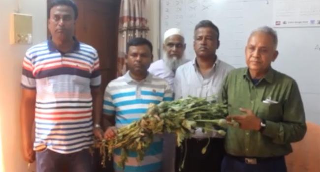 মুন্সীগঞ্জে ৩ একর জায়গাজুড়ে কোটি টাকার আফিম চাষ