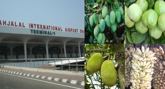 ফল উৎপাদন শিখতে বিদেশ সফরে ব্যয় ১০ কোটি টাকা