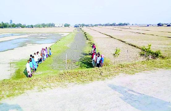 দাকোপে একটি সøুইস গেটের অভাবে ৭ হাজার বিঘা জমি অনাবাদি
