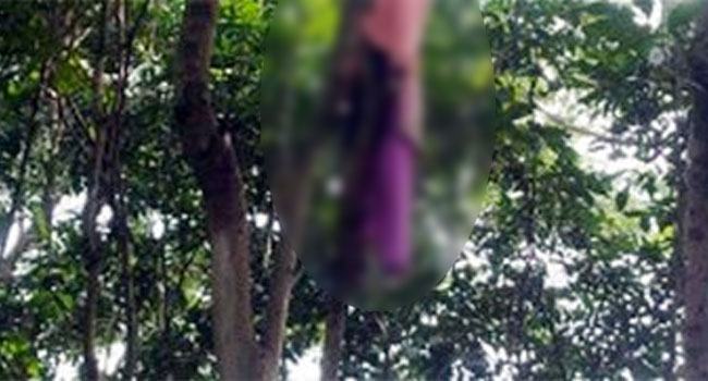 বাড়ির পাশে গাছে ঝুলছে বিধবার লাশ