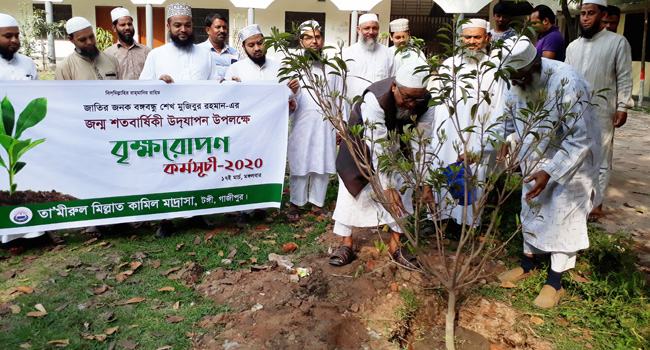 বঙ্গবন্ধুর জন্মশতবার্ষিকীতে তা’মীরুল মিল্লাতে কুরআনখানি ও বৃক্ষরোপণ কর্মসূচী
