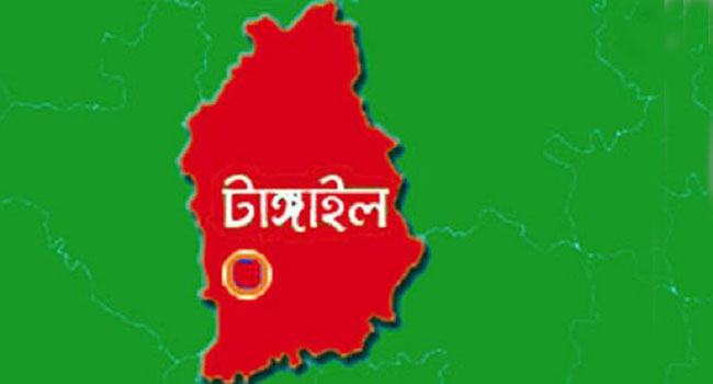 টাঙ্গাইলে ২৬০ জন হোম কোয়ারেন্টাইনে