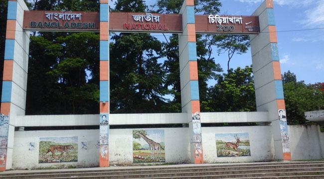 করোনাভাইরাস : মিরপুর চিড়িয়াখানা বন্ধ ঘোষণা