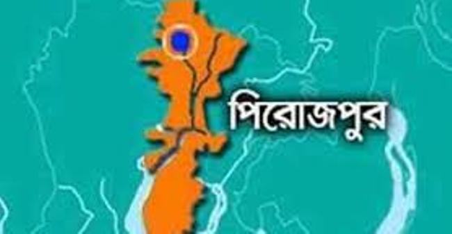 পিরোজপুরে গর্ভবতী গাভী জবাই করে গোশত লুট, আটক ১