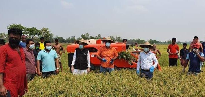 মেশিন দিয়ে ধান কাটা উৎসব উদ্বোধন করলেন এমপি