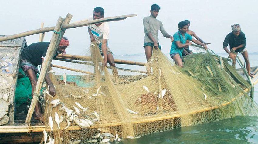 দ্বিতীয় ধাপে জেলেদের জন্য ২৪ হাজার টন চাল বরাদ্দ
