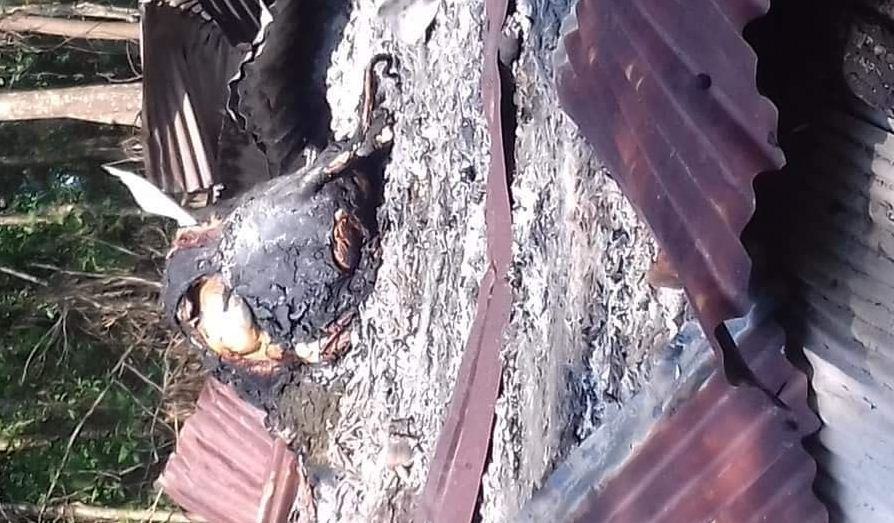 মিরসরাইয়ে দুর্বৃত্তের আগুনে অঙ্গার খামারীর স্বপ্ন