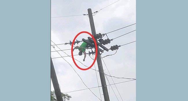 বিদ্যুৎলাইনে আটকে গেল লাইনম্যান, ২ ঘন্টার চেষ্টায় উদ্ধার