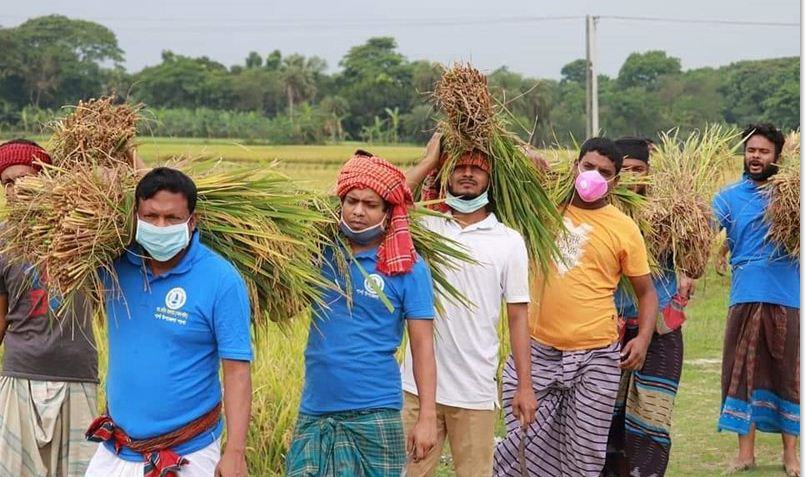 শার্শায় ছাত্রলীগ আজ কাঁস্তে হাতে কৃষক বেশে