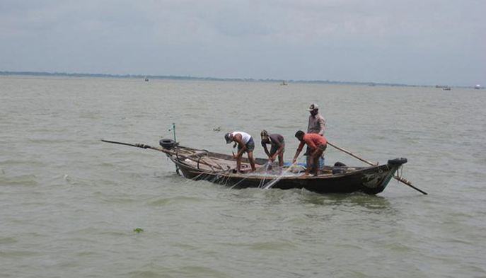 মেঘনায় শুরু হয়েছে ইলিশ শিকার