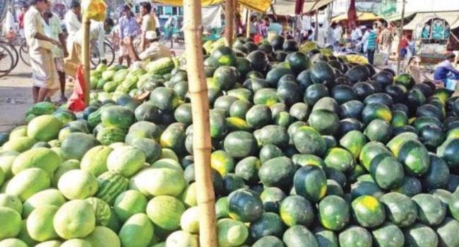 করোনায় ক্রেতাশূন্য তরমুজের বাজার, ক্ষতির মুখে চাষিরা