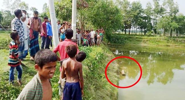 চান্দিনায় বিদ্যুৎস্পৃষ্ট হয়ে দুই ভাই নিহত