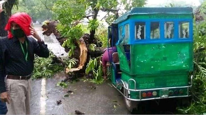 গাছ চাপায় অটোরিকশা চালকের মর্মান্তিক নিহত