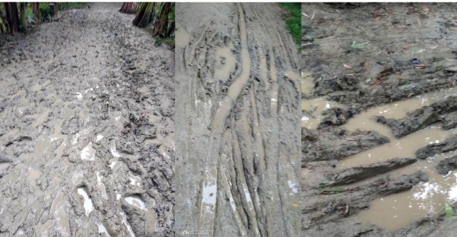 বরিশালে সড়ক যেন চাষের জমি !