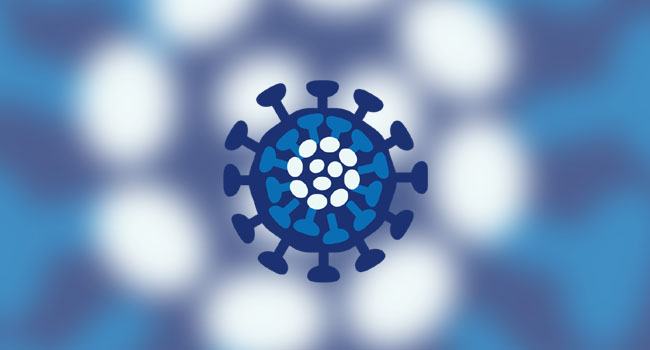 করোনা জয় করে বাড়ি ফিরলেন ফেনীর সেই দুই যুবক