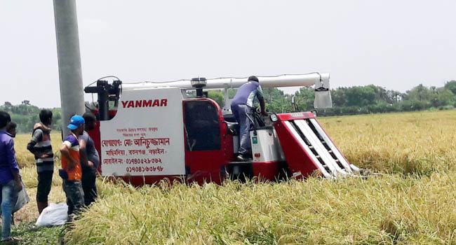 নড়াইলে হারভেস্টার মেশিনে বিনামূল্যে ধান কেটে দিচ্ছেন যুবলীগ নেতা