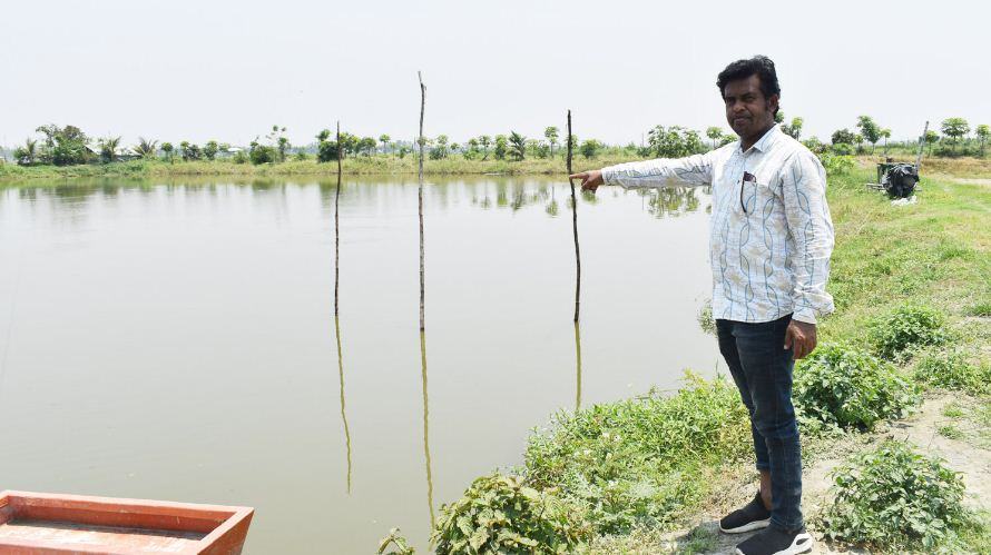 করোনার কারণে মিরসরাইয়ে ক্ষতির মুখে ২ হাজার মৎস্য খামারী