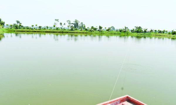 মুহুরী প্রকল্পে করোনার প্রভাব : ক্ষতির মুখে ২ হাজার মাছ উৎপাদনকারী