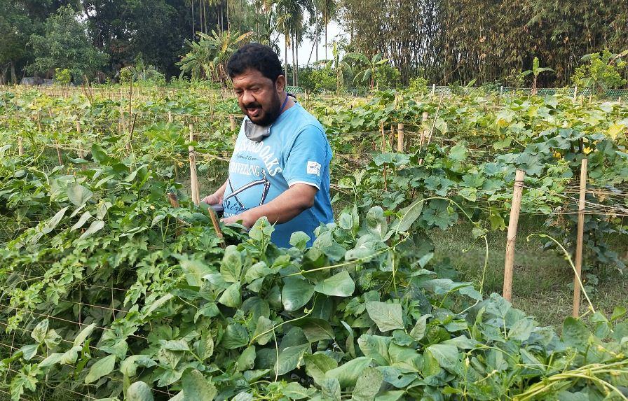 বিষমুক্ত সবজি উৎপাদন করছেন এক মুক্তিযোদ্ধা