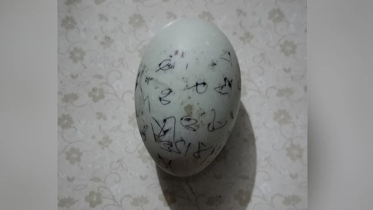 শ্রীমঙ্গলে এক ডিমের দাম ২২ হাজার টাকা!