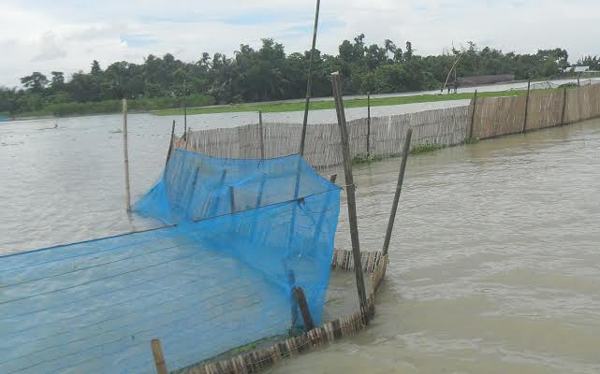 বাঁশ নিয়ে বসচা, নারীসহ আহত ১৫