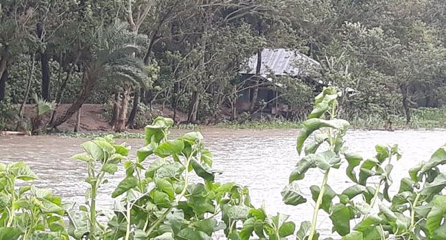 পটুয়াখালীতে বৃষ্টি-দমকা হাওয়া, ৩০ গ্রাম প্লাবিত