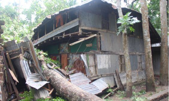 আমফানে ভান্ডারিয়ায় ব্যাপক ক্ষয়ক্ষতি, দুই শতাধিক বাড়িঘর বিধ্বস্ত