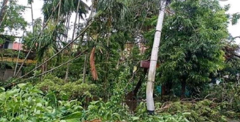 চুয়াডাঙ্গায় আমফানের তাণ্ডবে ব্যাপক ক্ষয়-ক্ষতি