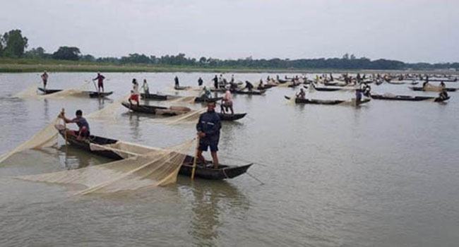 হালদা নদীতে ডিম ছেড়েছে মা মাছ