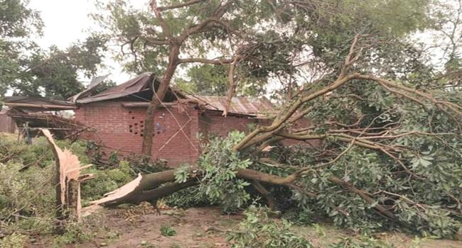 চাঁপাইনবাবগঞ্জে ঝড়ে অর্ধশত বাড়িঘর ক্ষতিগ্রস্ত