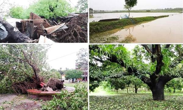 জীবননগরে আমফান ঝড়ে ২০ কোটি টাকার ক্ষতি