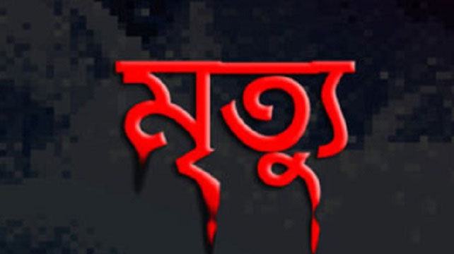বাঁশখালীতে বন্যহাতির আক্রমণে লিচু বাগানির মৃত্যু