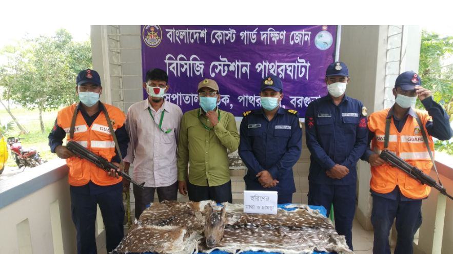 ব্যাগ ভর্তি হরিণের মাথা ও চামড়া উদ্ধার