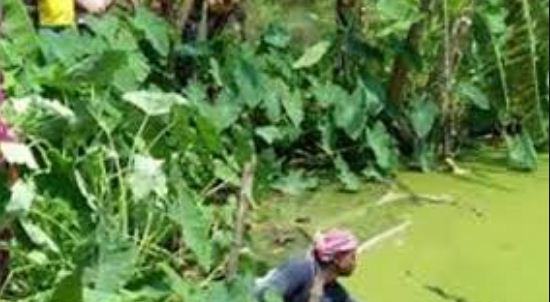 পুকুর থেকে উদ্ধার দুই সন্তানের লাশ, আটক মা