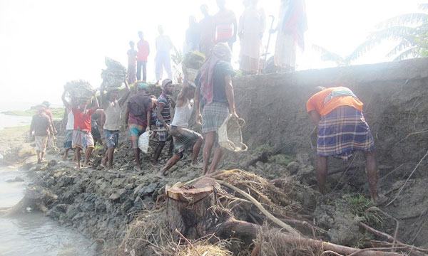 মনপুরায় স্থানীয়দের উদ্যোগে চলছে বাঁধ মেরামত