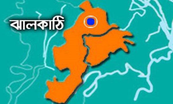 কাঁঠালিয়ায় জিপিএ ৫ পেয়েছে ১৯ জন
