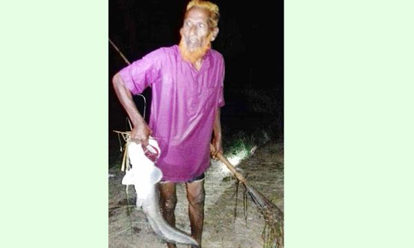 চলনবিলে প্রকাশ্যে মা মাছ নিধন চলছে