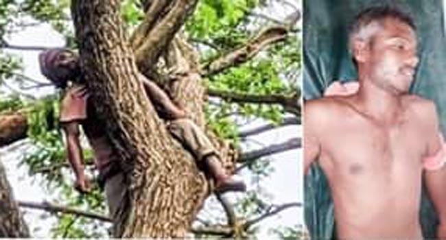 জীবননগরে গাছ থেকে পড়ে যুবকের মৃত্যু
