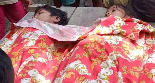 মাছ ধরতে গিয়ে পানিতে ডুবে দুই বোনের মৃত্যু